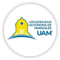 Vista en miniatura