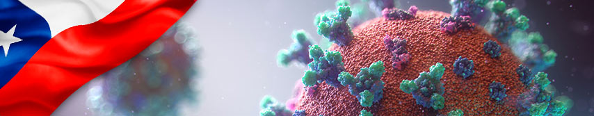 imagen microscópica del virus del Covid 19