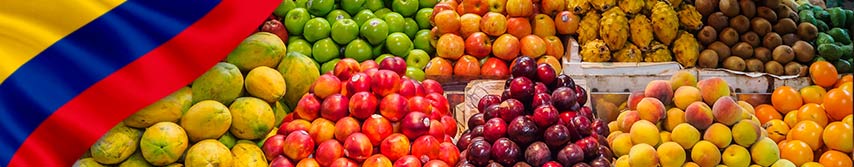 bandera de colombia y diversidad de frutas acomodadas por grupos