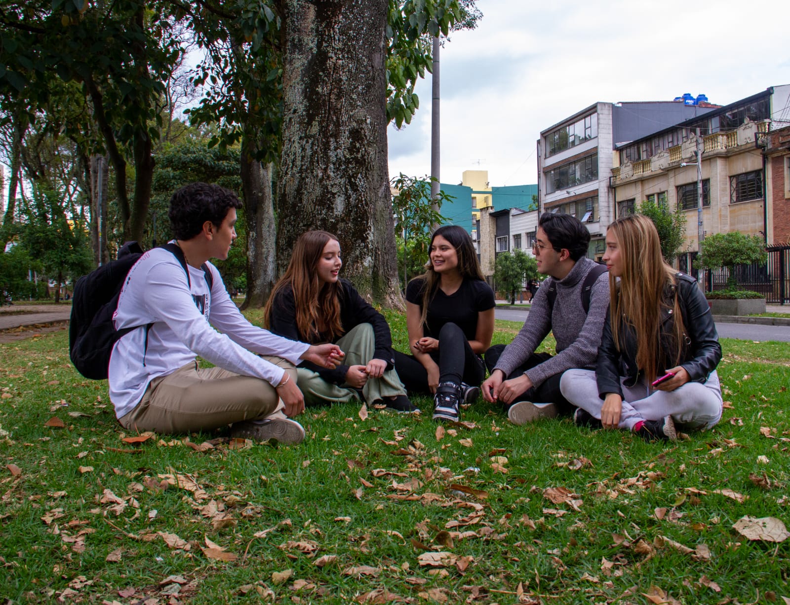 Imagen de estudiantes de universidad sentados en un parque conversando