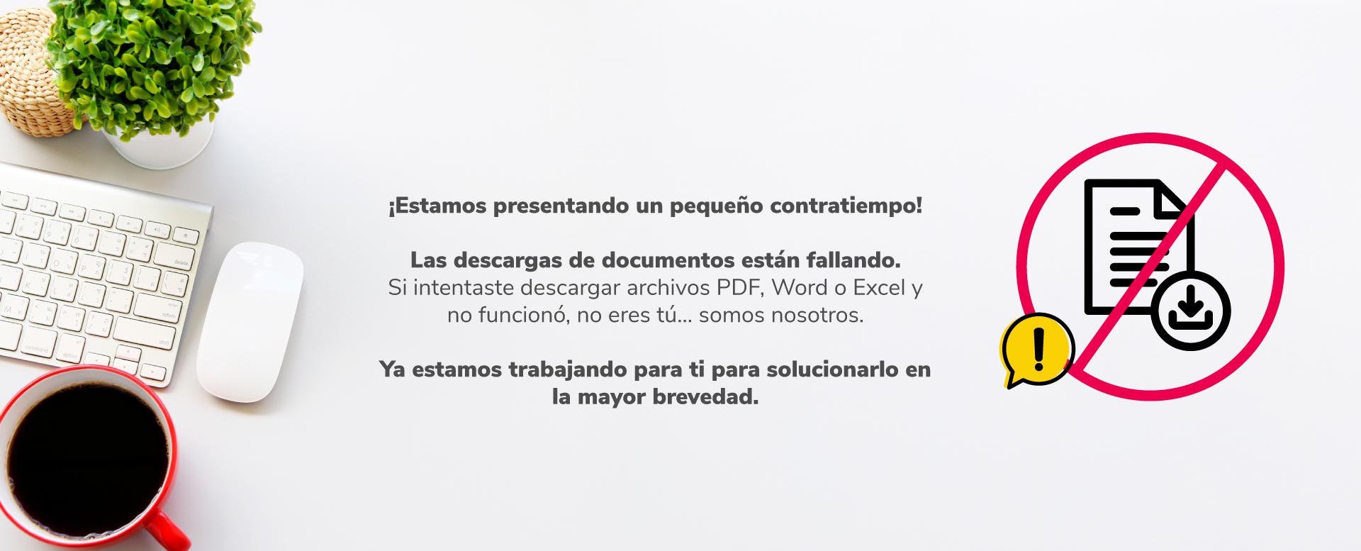 Banner alerta falla en la descarga de documentos