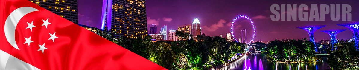 panoramica de la ciudad de singapur, foto de noche con edificios modernos