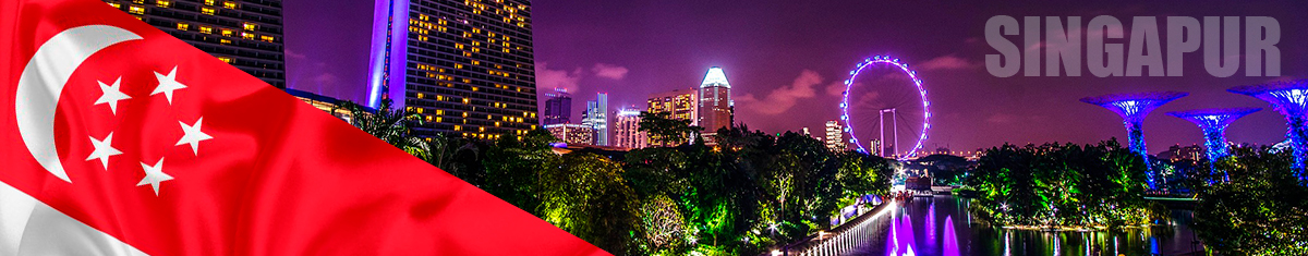 panoramica de la ciudad de singapur, foto de noche con edificios modernos