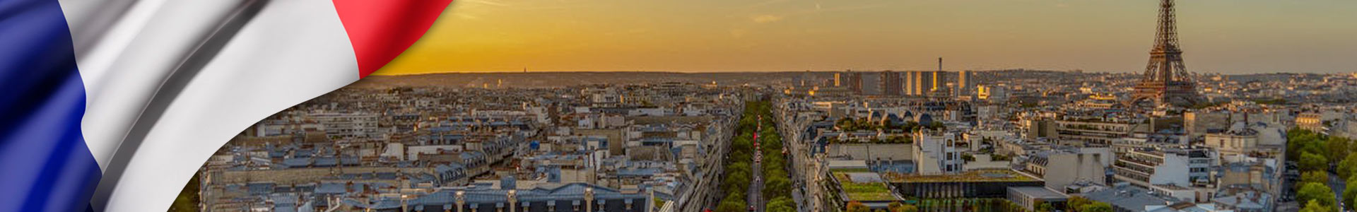 Bandera de Francia y panoramica de Paris