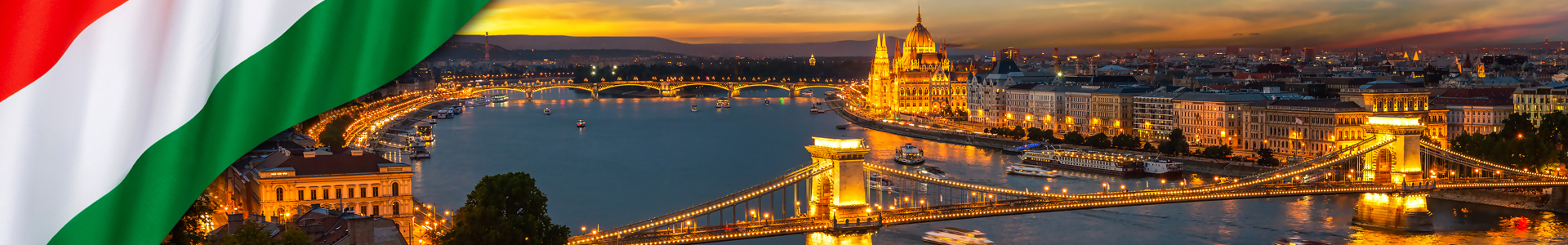 Bandera de Hungría con vista panorámica de Budapest iluminada por la noche