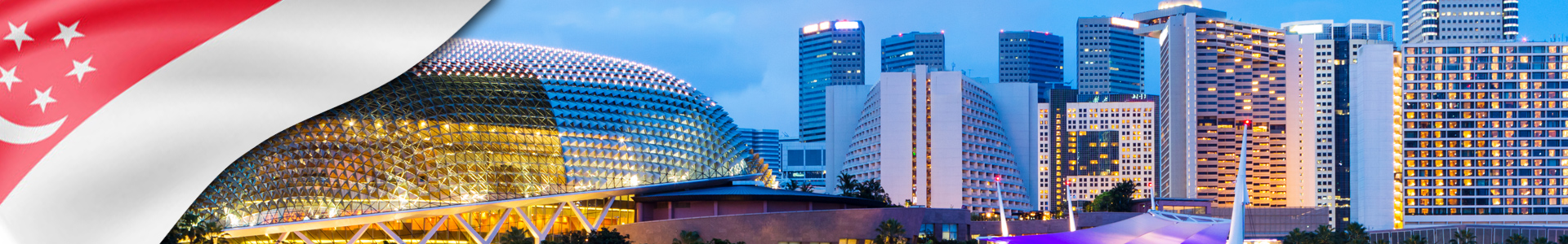 Fondo de la ciudad de Singapur