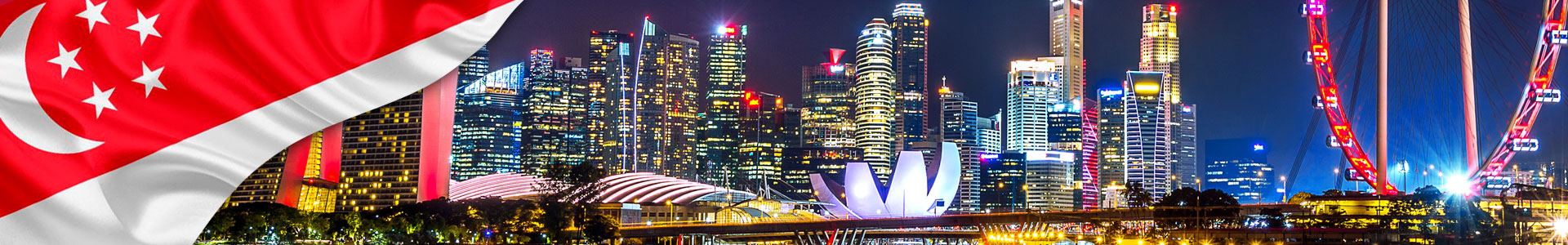 Bandera de Singapur con panorámica de la ciudad de noche