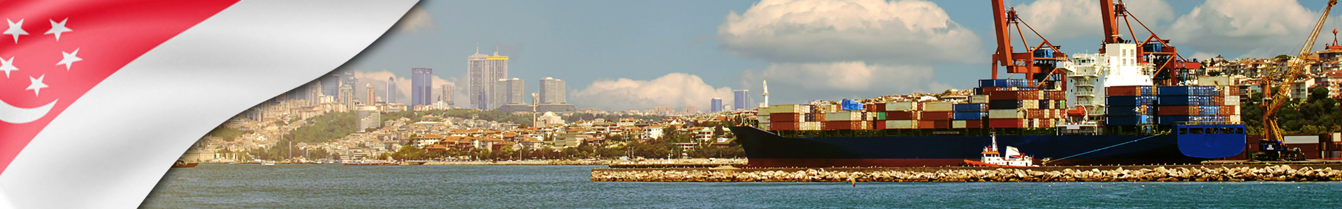 Bandera de Singapur con barcos en puerto