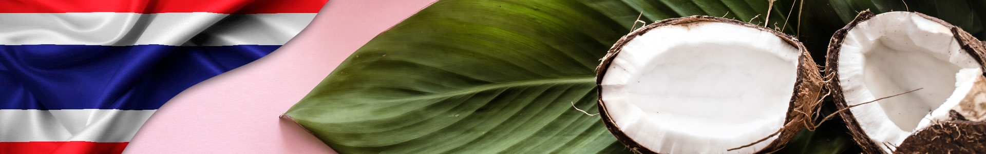 Bandera de Tailandia, con foto de una hoja grande y unos cocos cortados a la mitad